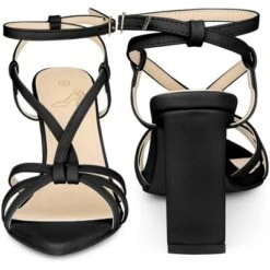 Perphy Pointed Toe Slingback Chunky Heel Sandals For Women