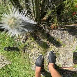 Jibs Adult Slim Fashion Sneaker Flat -Georgia Shoes Shop GUEST 1a044e61 65b1 49a8 9837 f8a047f2487f